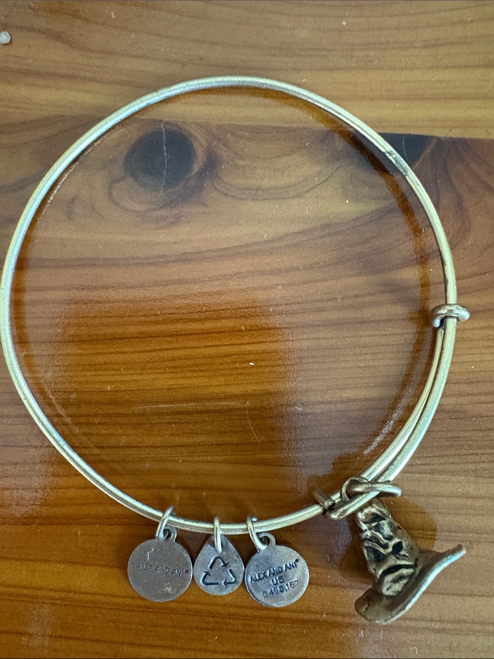 Alex and Ani Gold-Tone Sorting Hat Charm Bangle Bracelet